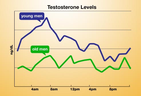 Testosterone Hourly