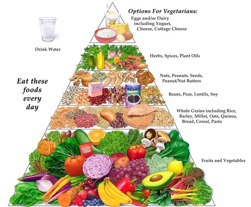 Is a Vegetarian Diet or Vegan Diet Actually Healthy? (Tony Gonzalez's Vegan Experiment)