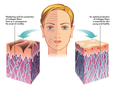 collagen process
