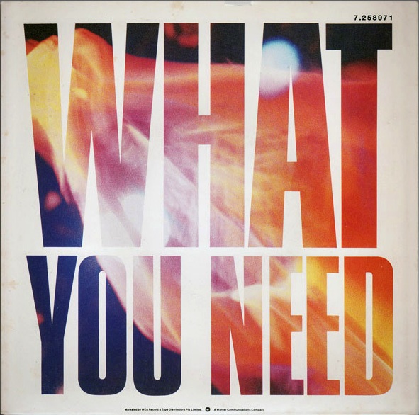 what you need poster
