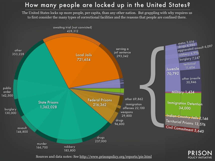 Reasons People are in Jail or Prison USA