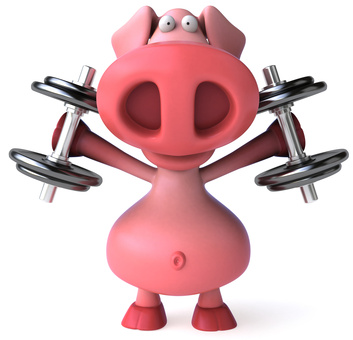 Pig Working Out